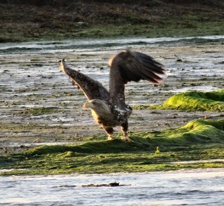 2022-09-25-DSC04858.JPG 2022-09-25-DSC04858.JPG