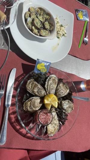 IMG_7269.jpg IMG_7269.jpg