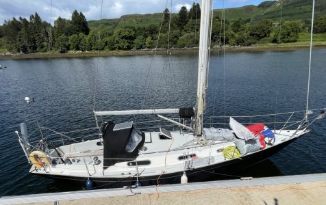 thumbnail_image0 (1).jpg