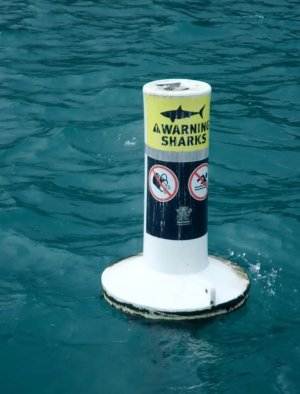 Screenshot_20240413_215146_Brave.jpg Screenshot_20240413_215146_Brave.jpg