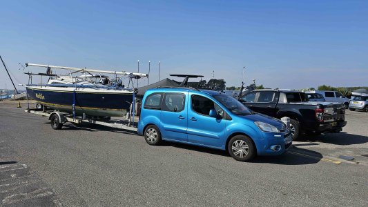 Minxie on trailer.jpg