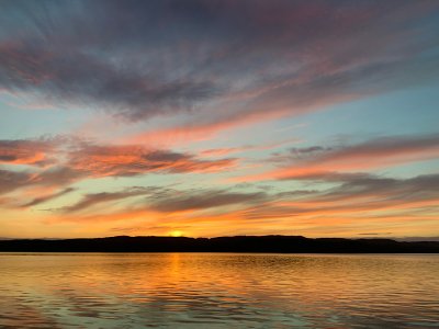 IMG_2024-09-23-211317.jpeg IMG_2024-09-23-211317.jpeg