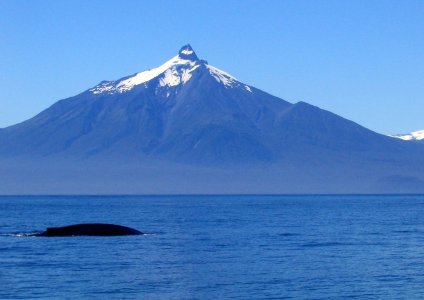 IMG_1545.jpg IMG_1545.jpg