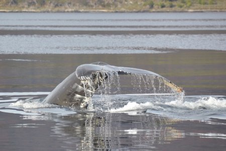 DSC_0189.jpg DSC_0189.jpg