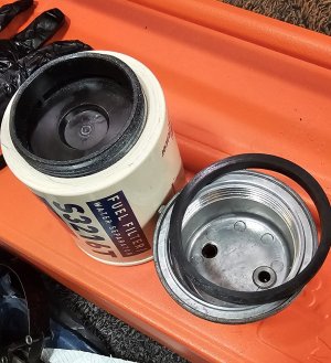 1000013265.jpg 1000013265.jpg