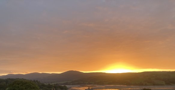 IMG_5385.jpeg IMG_5385.jpeg