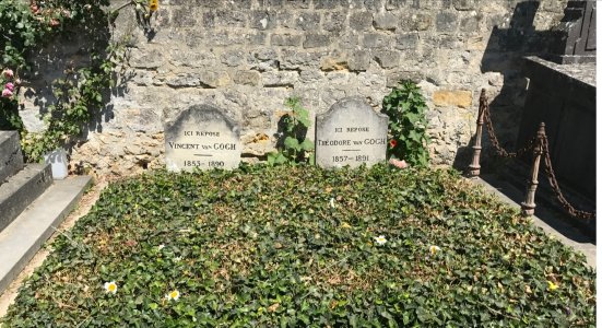 IMG_4251.jpeg IMG_4251.jpeg