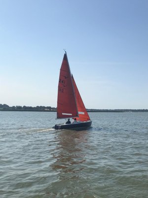 IMG_3497.jpeg IMG_3497.jpeg