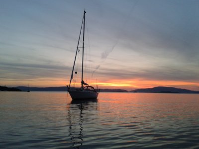 1728477141207.jpeg 1728477141207.jpeg