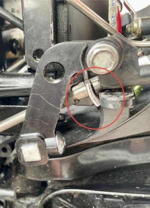 IMG_4119.jpeg IMG_4119.jpeg