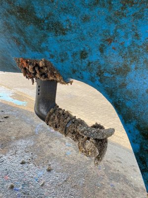 2024-09-06 12.38.02 (1008 x 756).jpg