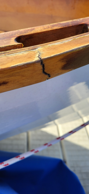 Sandpiper rail crack.png