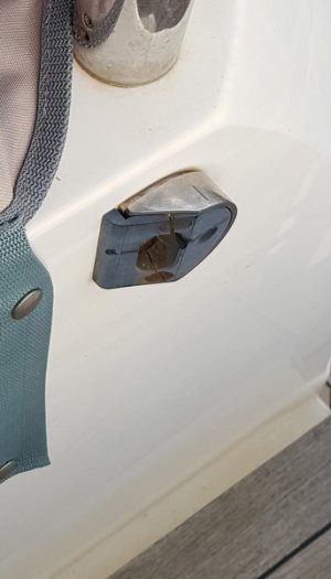 Cockpit Gate Catch.resized.jpg