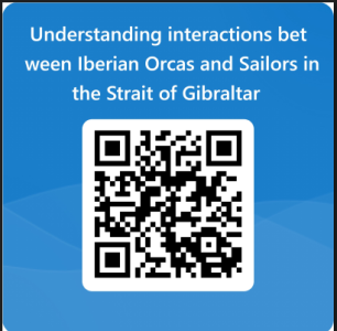 Survey_Orca_Interactions_2024.png