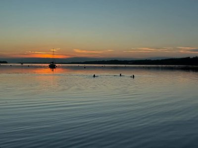 FB_IMG_1731608587078.jpg FB_IMG_1731608587078.jpg