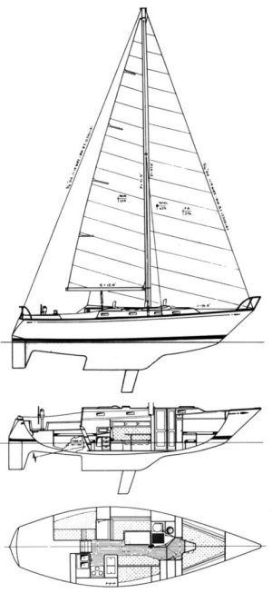 tartan_37_sands_drawing-471x1024.jpg