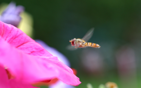 1732870339619.png 1732870339619.png