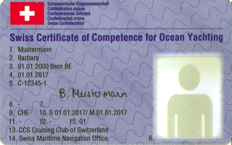 1733216145230.png 1733216145230.png