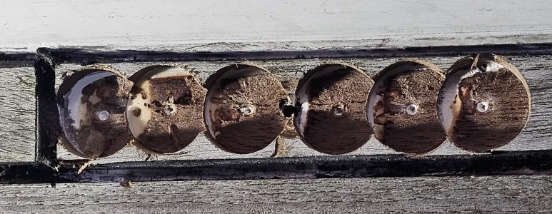 20240311_112625.jpg 20240311_112625.jpg