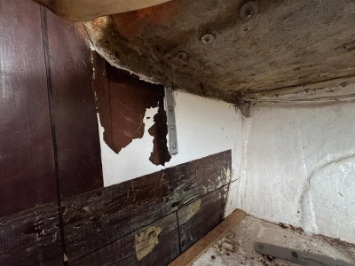 IMG-20241206-WA0005.jpg IMG-20241206-WA0005.jpg