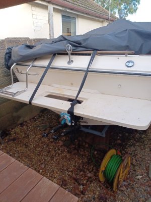 20241203_135459.resized.jpg 20241203_135459.resized.jpg