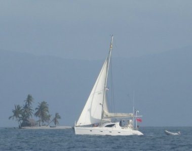 Screenshot_20210824-121845_Photos.jpg Screenshot_20210824-121845_Photos.jpg