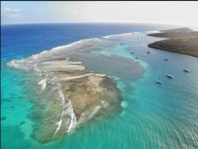 Screenshot_20231201-134559.jpg Screenshot_20231201-134559.jpg