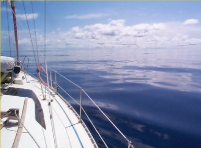 Screenshot_20221231-164919_Brave.jpg Screenshot_20221231-164919_Brave.jpg