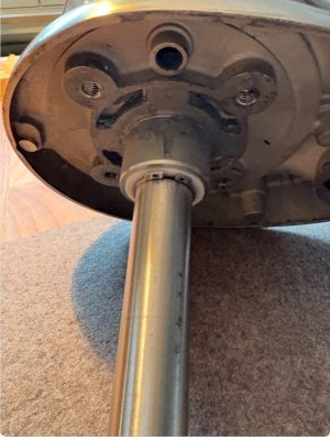 IMG_2180.jpeg IMG_2180.jpeg