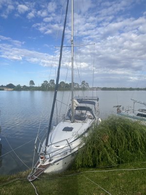 IMG_5401.jpeg IMG_5401.jpeg