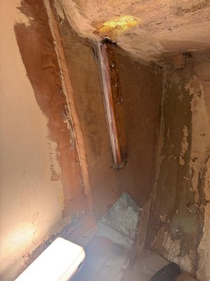 IMG-20241231-WA0009.jpg IMG-20241231-WA0009.jpg