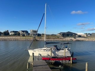 IMG_5334.jpeg IMG_5334.jpeg