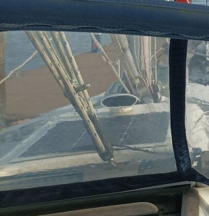 IMG_20230929_170009~2.jpg IMG_20230929_170009~2.jpg