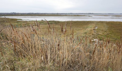 P1070454.JPG P1070454.JPG