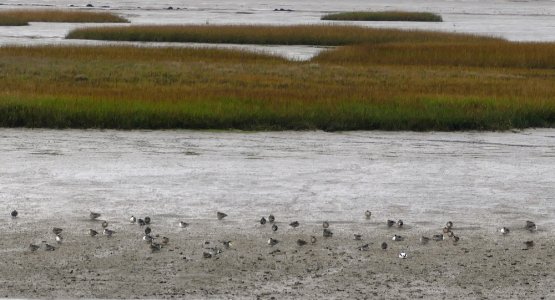 P1070453.JPG P1070453.JPG