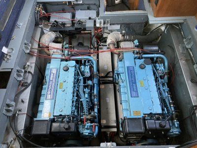 IMG_4072.jpeg IMG_4072.jpeg