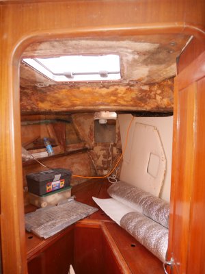 P1190568.jpeg P1190568.jpeg