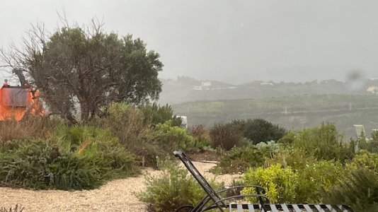 IMG_3248.jpg IMG_3248.jpg