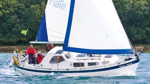 1737373567992.png 1737373567992.png