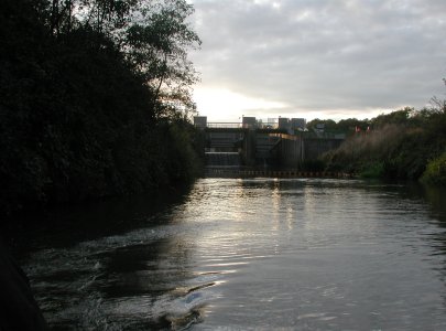 DSCN6753.jpg DSCN6753.jpg