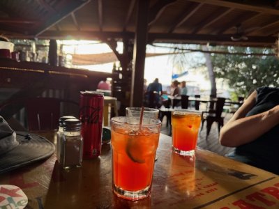 IMG_7360.jpeg IMG_7360.jpeg