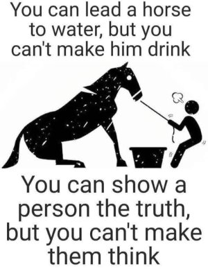 474812108_9953554524661016_6040968669975273471_n.jpg 474812108_9953554524661016_6040968669975273471_n.jpg