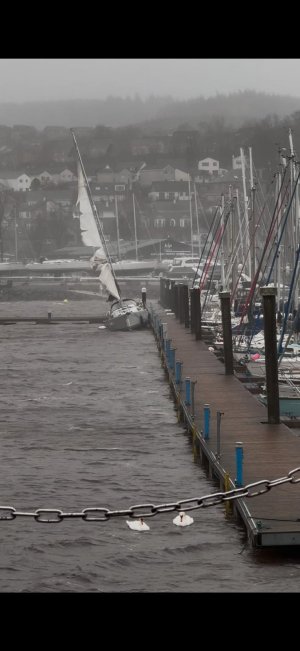 WhatsApp Image 2025-01-27 at 13.55.32_eda77b57.jpg WhatsApp Image 2025-01-27 at 13.55.32_eda77b57.jpg