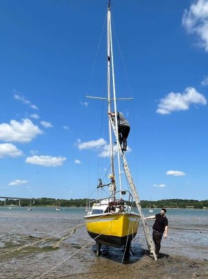 2 june 3rd 2023 (2).jpg