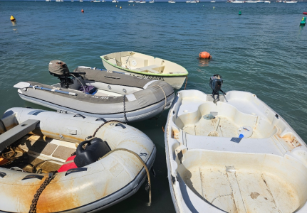 1000018907.png 1000018907.png