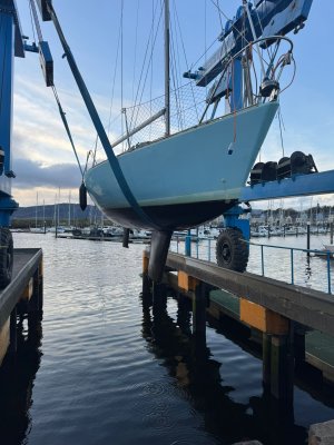 IMG-20250130-WA0009.jpg IMG-20250130-WA0009.jpg