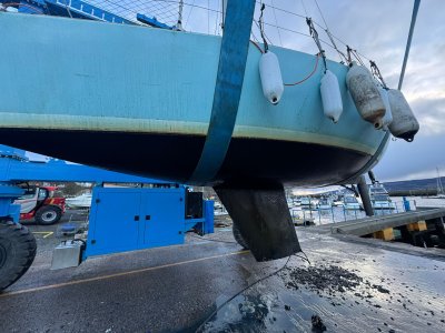 IMG-20250130-WA0005.jpg IMG-20250130-WA0005.jpg