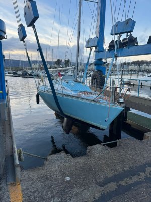 IMG-20250130-WA0010.jpg IMG-20250130-WA0010.jpg