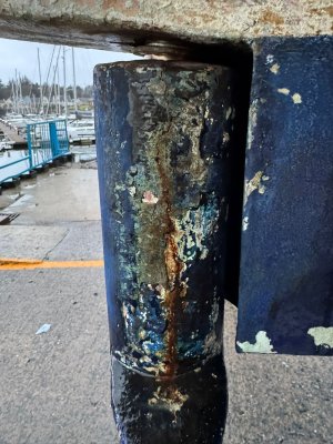 IMG-20250201-WA0016.jpg IMG-20250201-WA0016.jpg