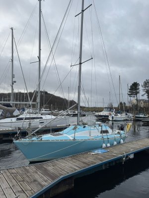 IMG-20250201-WA0004.jpg IMG-20250201-WA0004.jpg